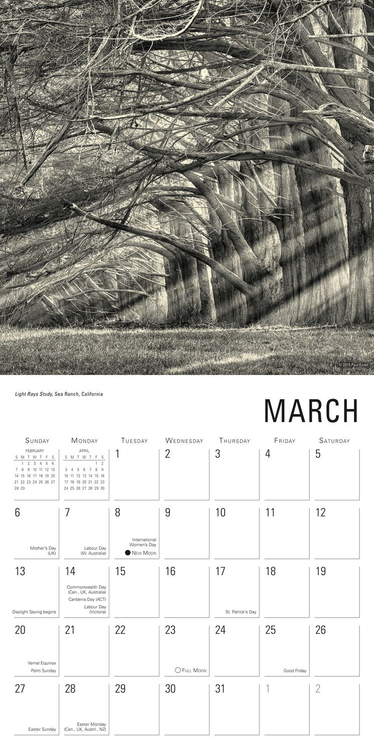 2016 Nature of Trees, The Wall Calendar