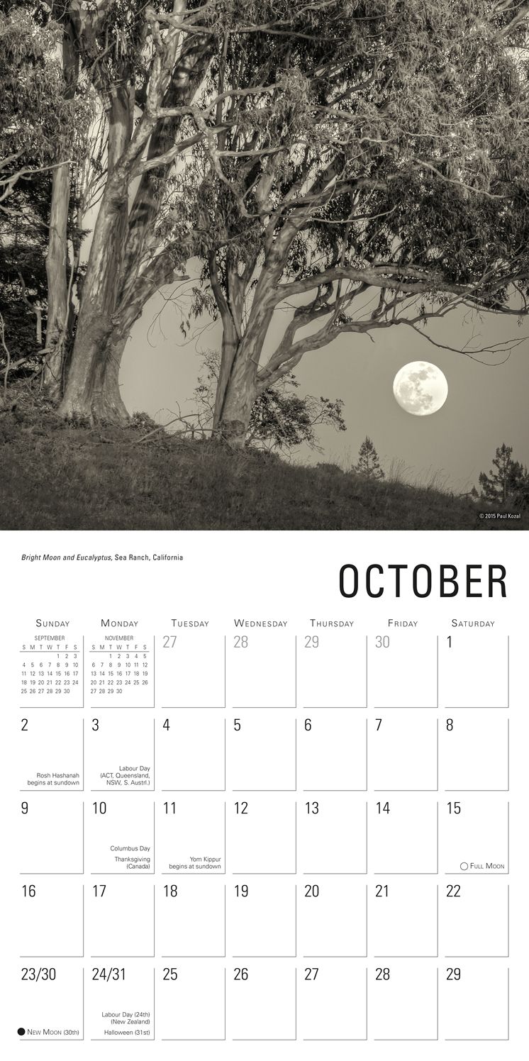 2016 Nature of Trees, The Wall Calendar