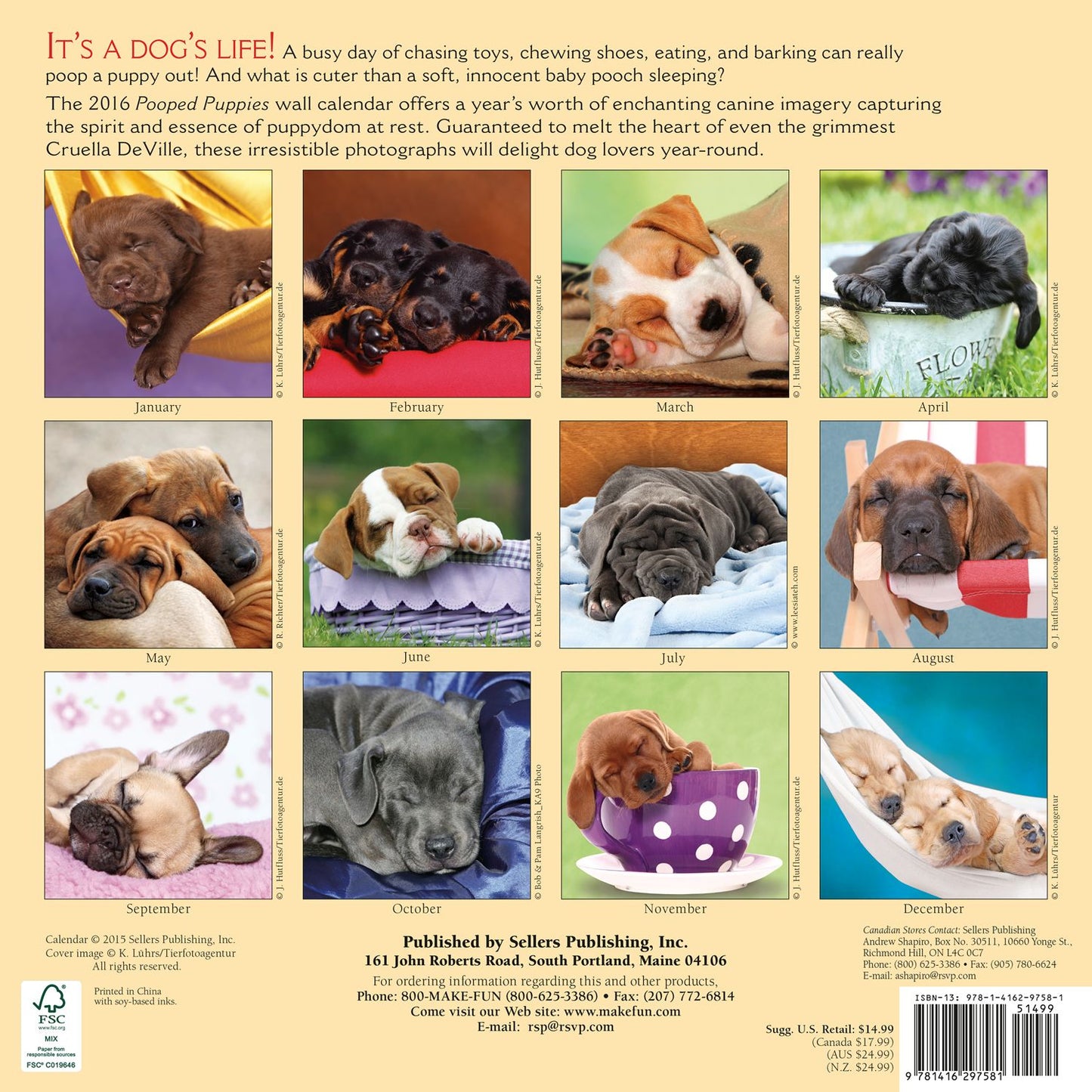 2016 Pooped Puppies Wall Calendar