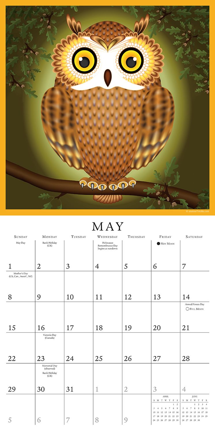 2016 Simply Owls Wall Calendar