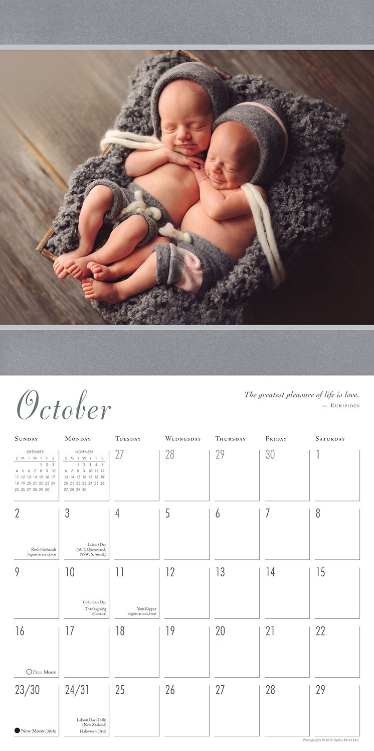 2016 Sleeping Beauties: Newborns in Dreamland Wall Calendar