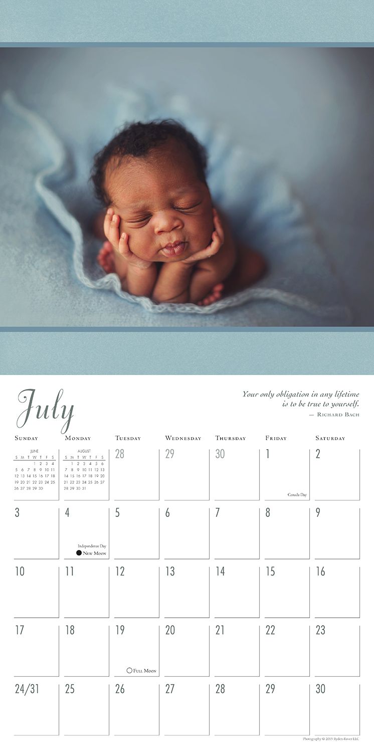 2016 Sleeping Beauties: Newborns in Dreamland Wall Calendar