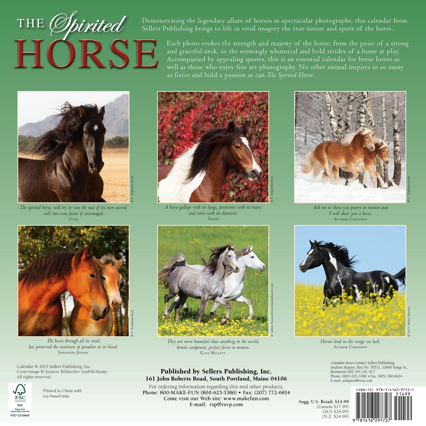 2016 Spirited Horse Wall Calendar