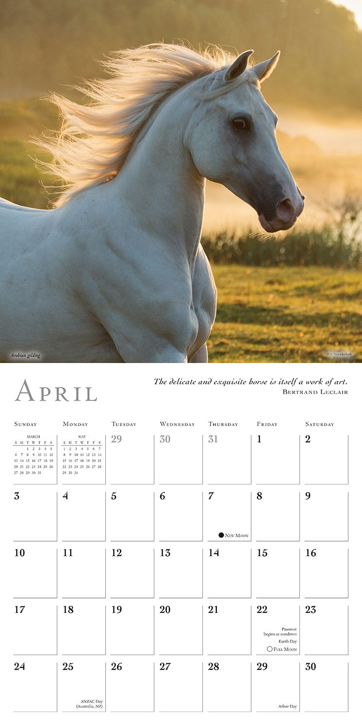 2016 Spirited Horse Wall Calendar