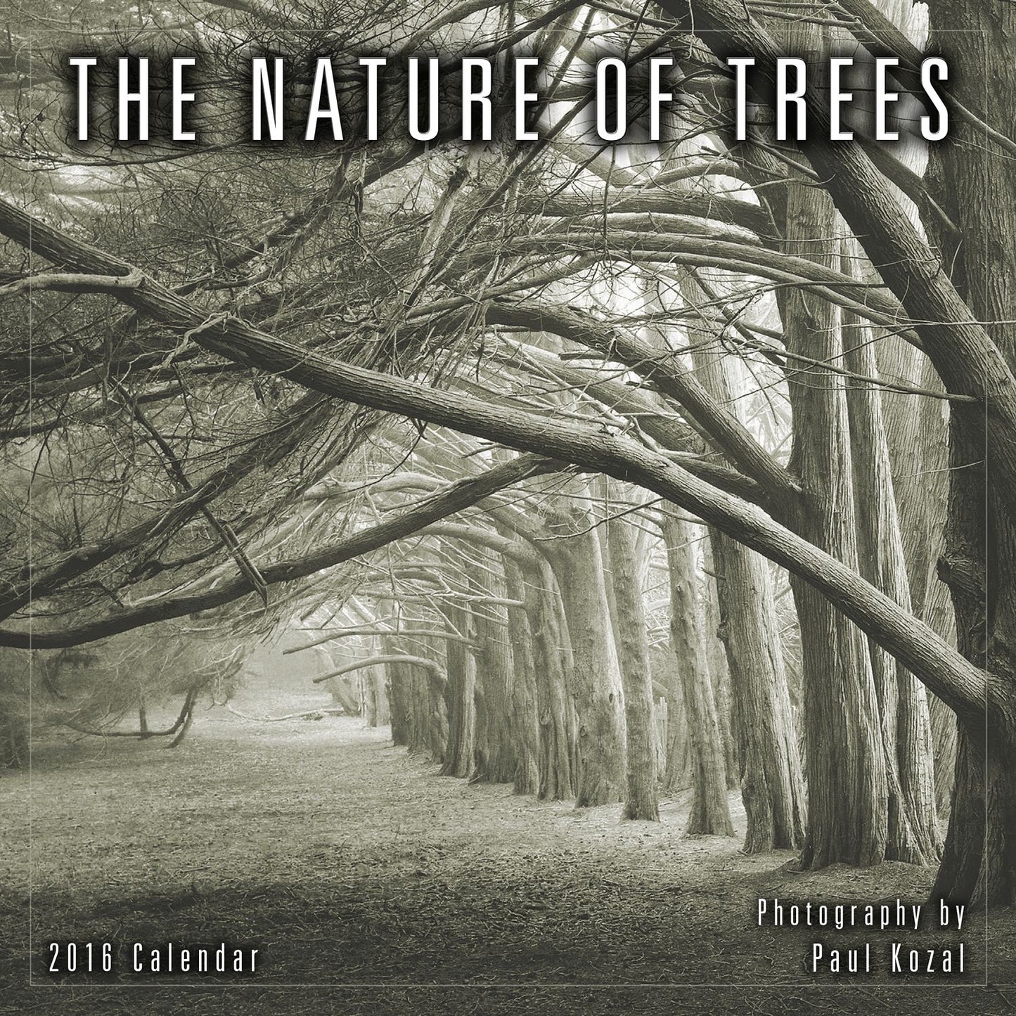 2016 Nature of Trees, The Mini Wall Calendar