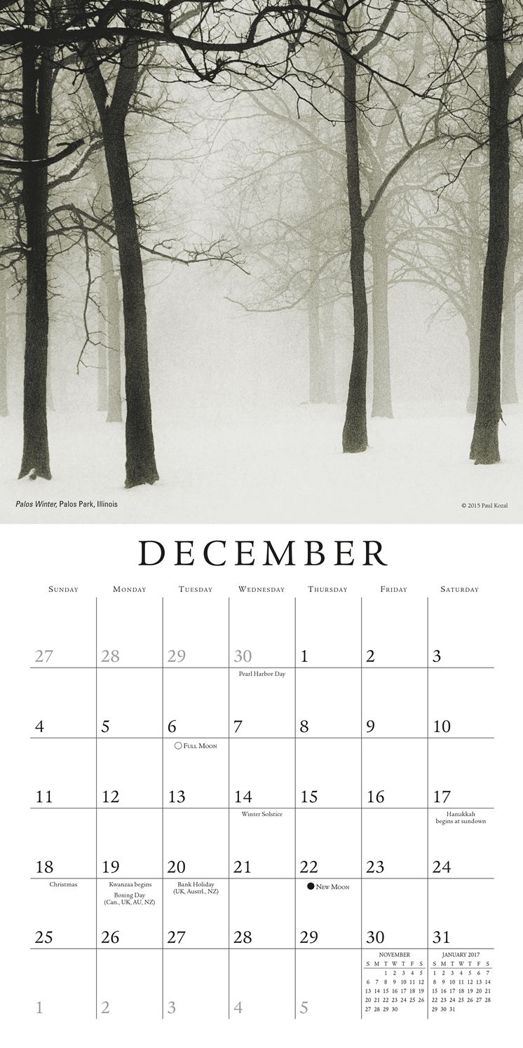 2016 Nature of Trees, The Mini Wall Calendar