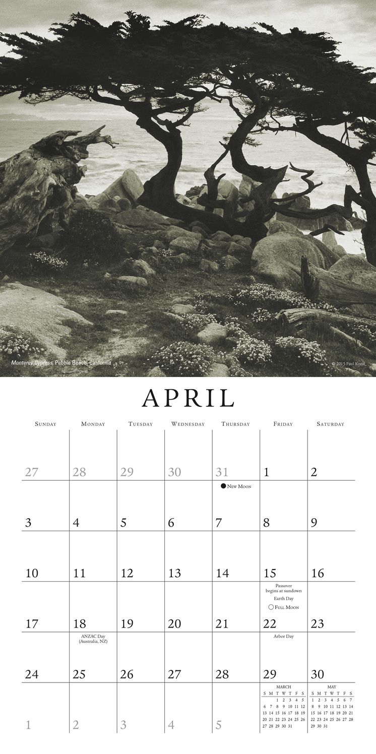 2016 Nature of Trees, The Mini Wall Calendar