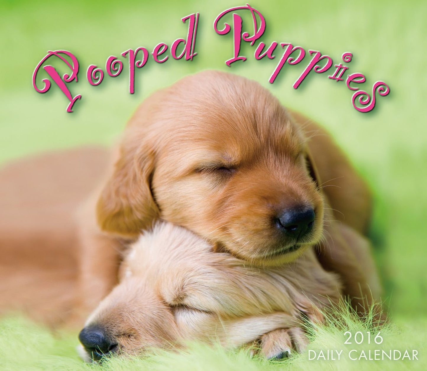 2016 Pooped Puppies Box Daily Calendar