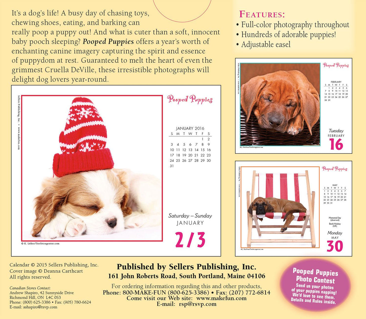 2016 Pooped Puppies Box Daily Calendar