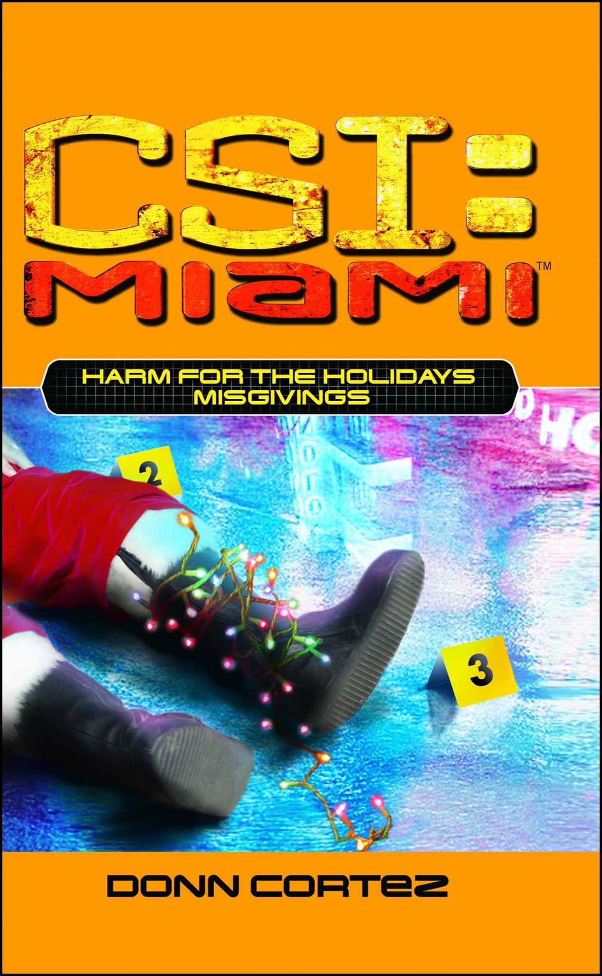 CSI: Miami: Harm for the Holidays: Misgivings