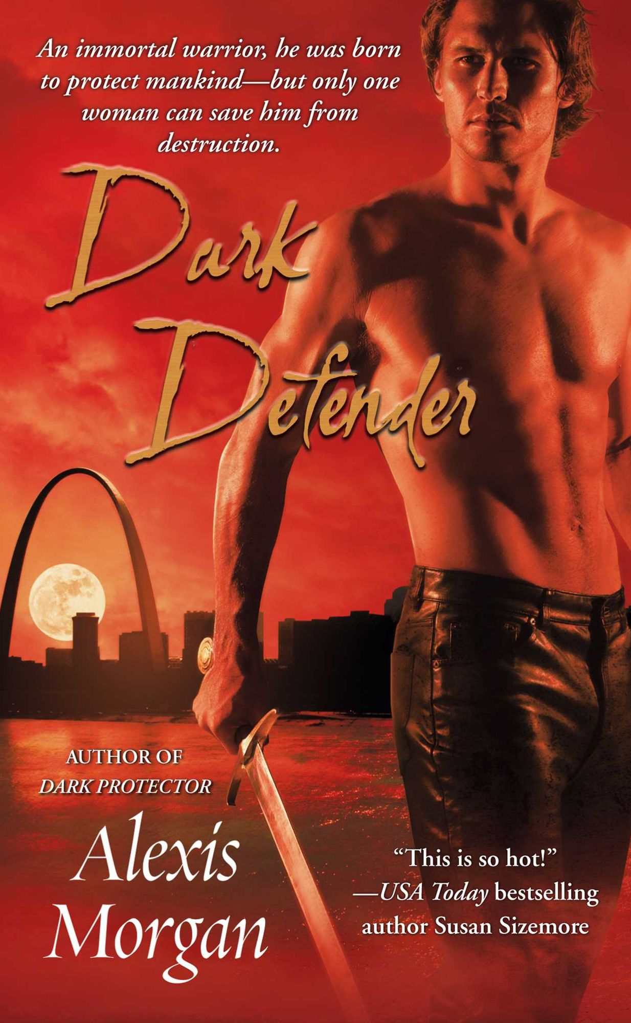 Dark Defender (Paladin Series #2)