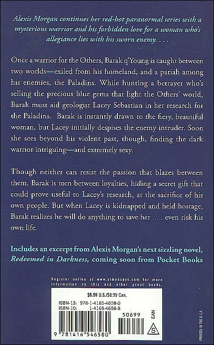 In Darkness Reborn (Paladin Series #3)