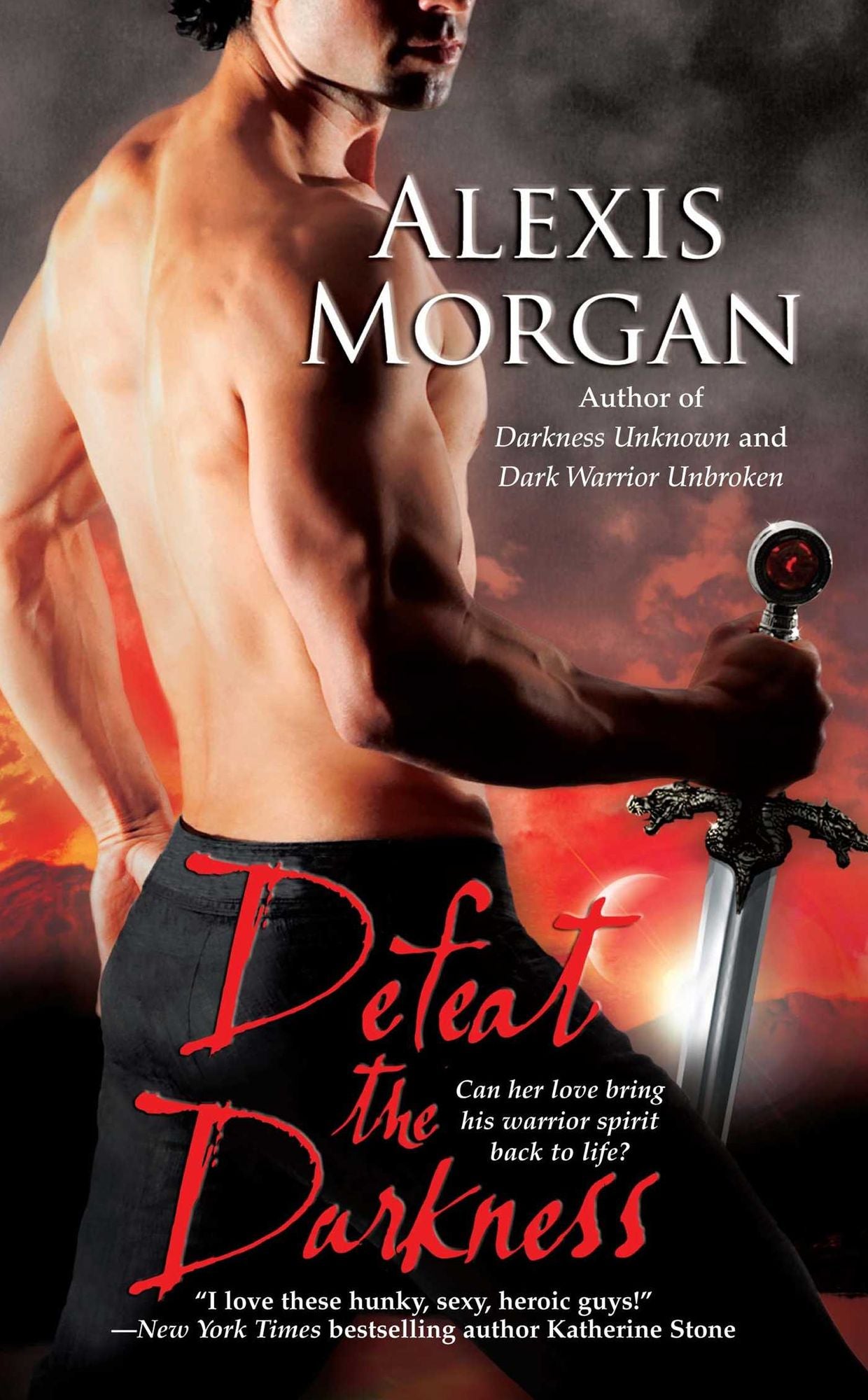 Defeat the Darkness (Paladin Series #6)