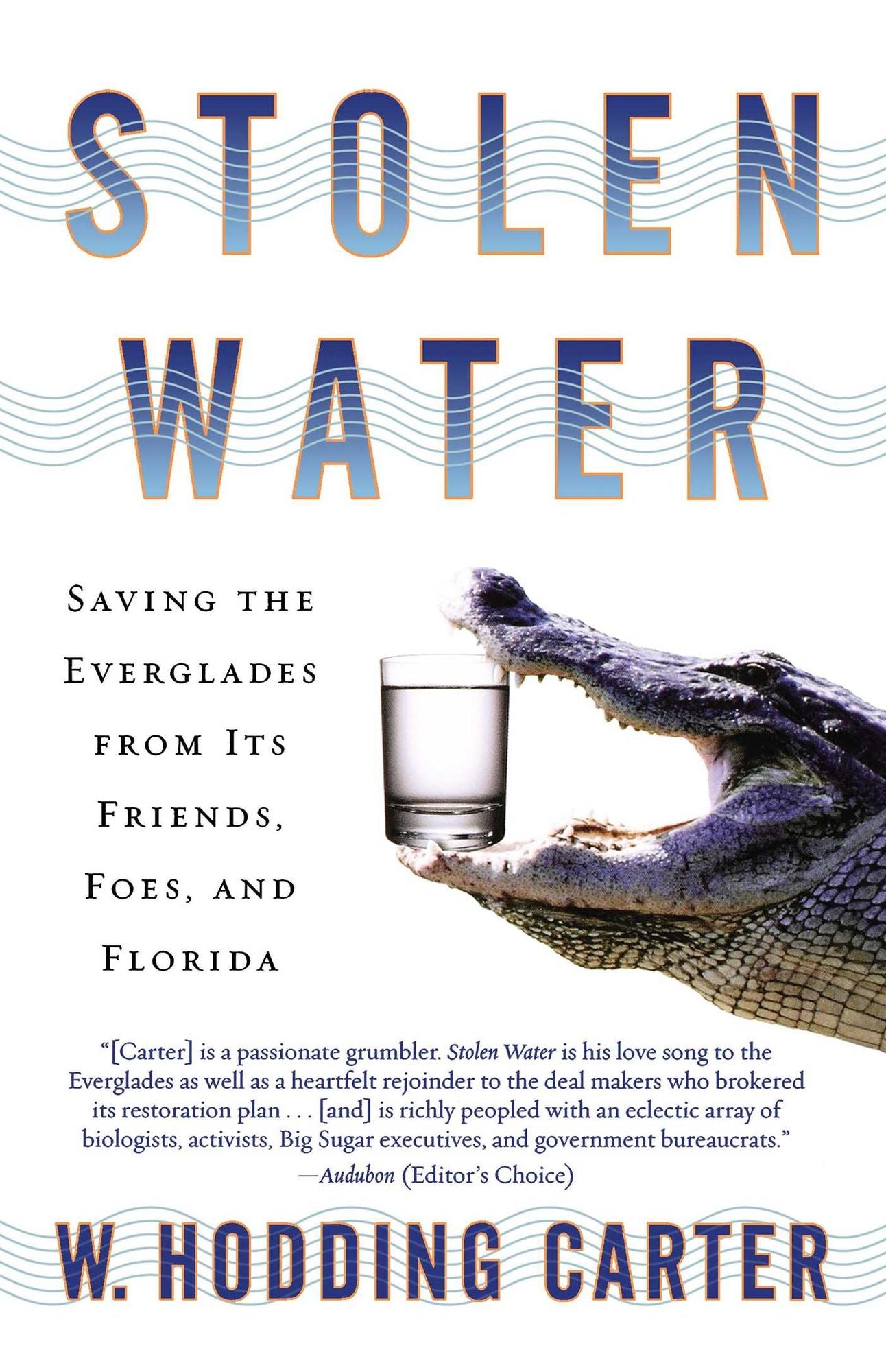 Stolen Water: Saving the Everglades from Its Friends, Foes, and Florida
