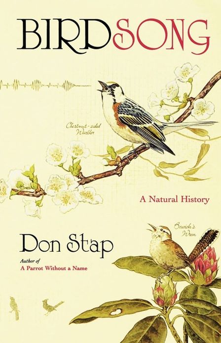 Birdsong