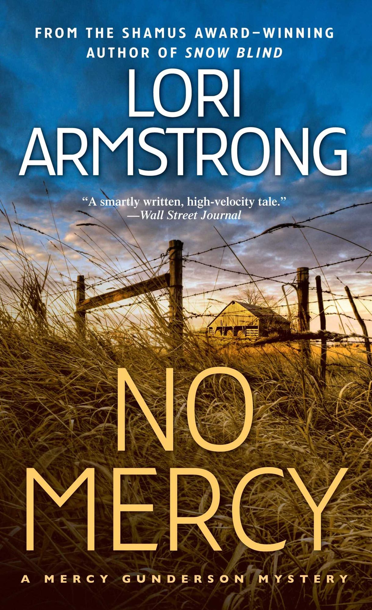 No Mercy (Mercy Gunderson Series #1)