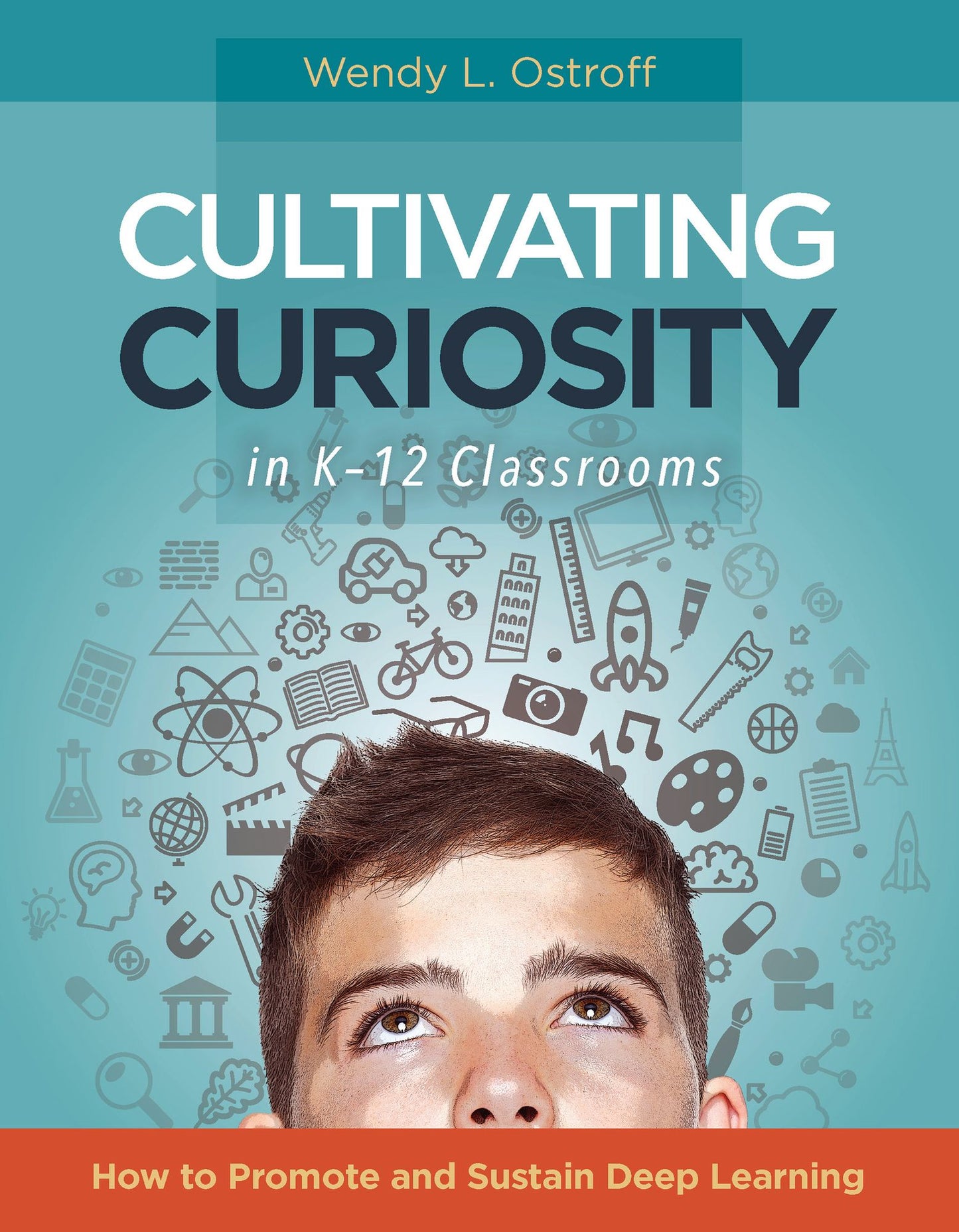 Cultivating Curiosity in K 12 Classrooms: How to Promote and Sustain Deep Learning