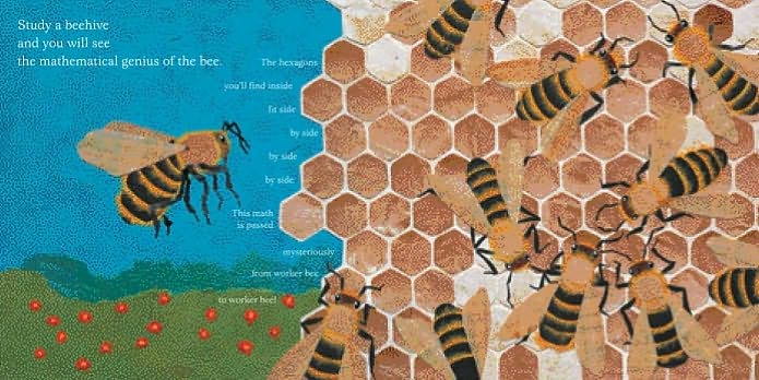 Bees, Snails, and Peacock Tails: Patterns and Shapes...Naturally