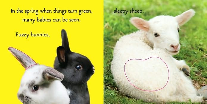 Beautiful Babies: A Touch-and-Feel Book