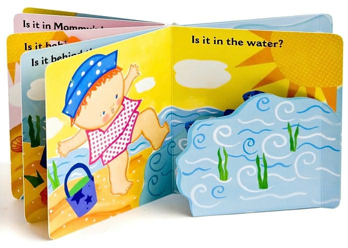 Where Is Baby's Beach Ball?: A Lift-the-Flap Book