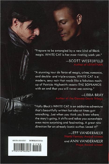White Cat (Curse Workers Series #1)