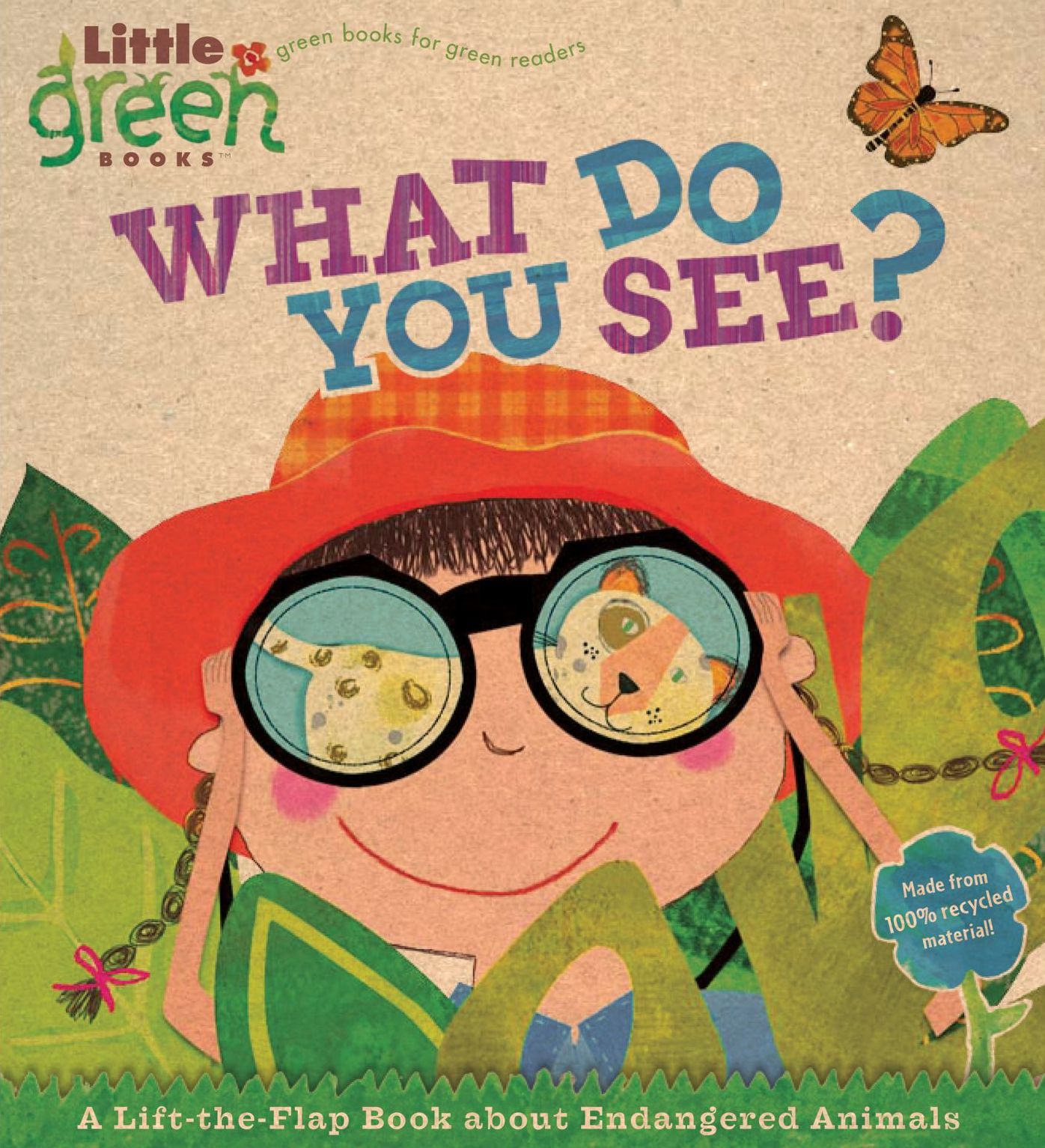 What Do You See?: A Lift-the-Flap Book About Endangered Animals (Little Green Books Series)
