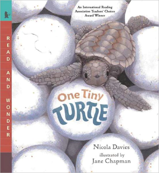 One Tiny Turtle (Turtleback School & Library Binding Edition)
