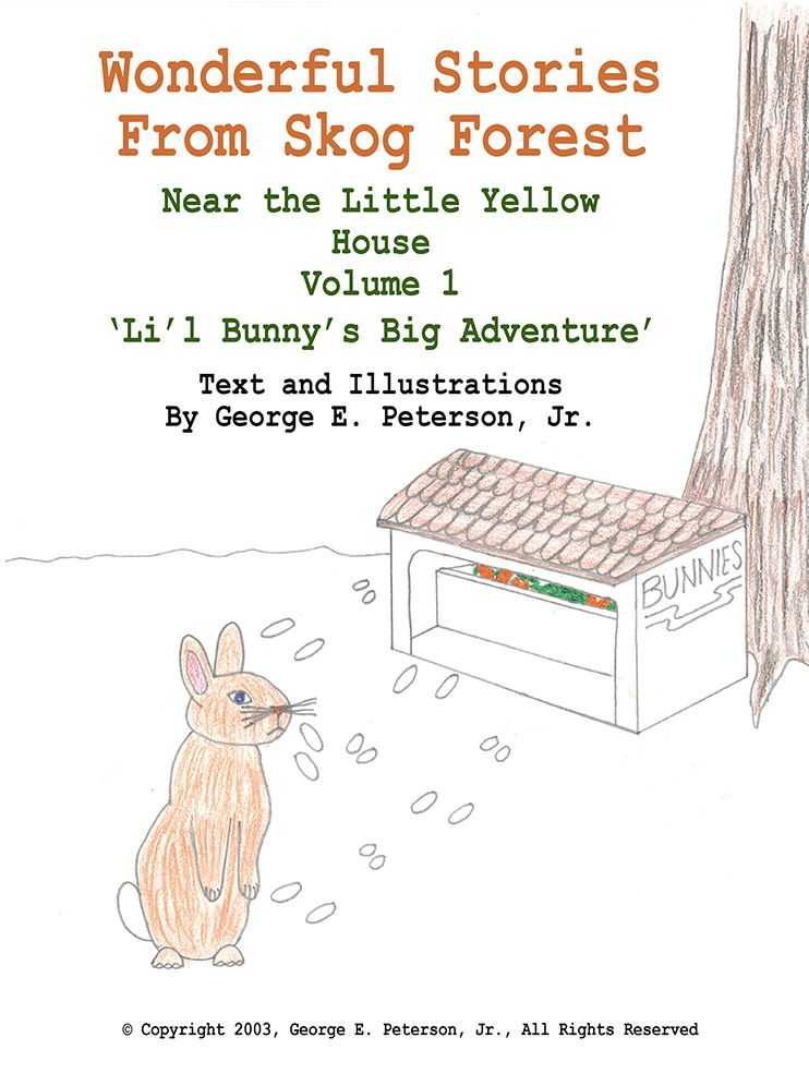 Wonderful Stories from Skog Forest: Near the Little Yellow House Volume 1 'Li'l Bunny's Big Adventure'
