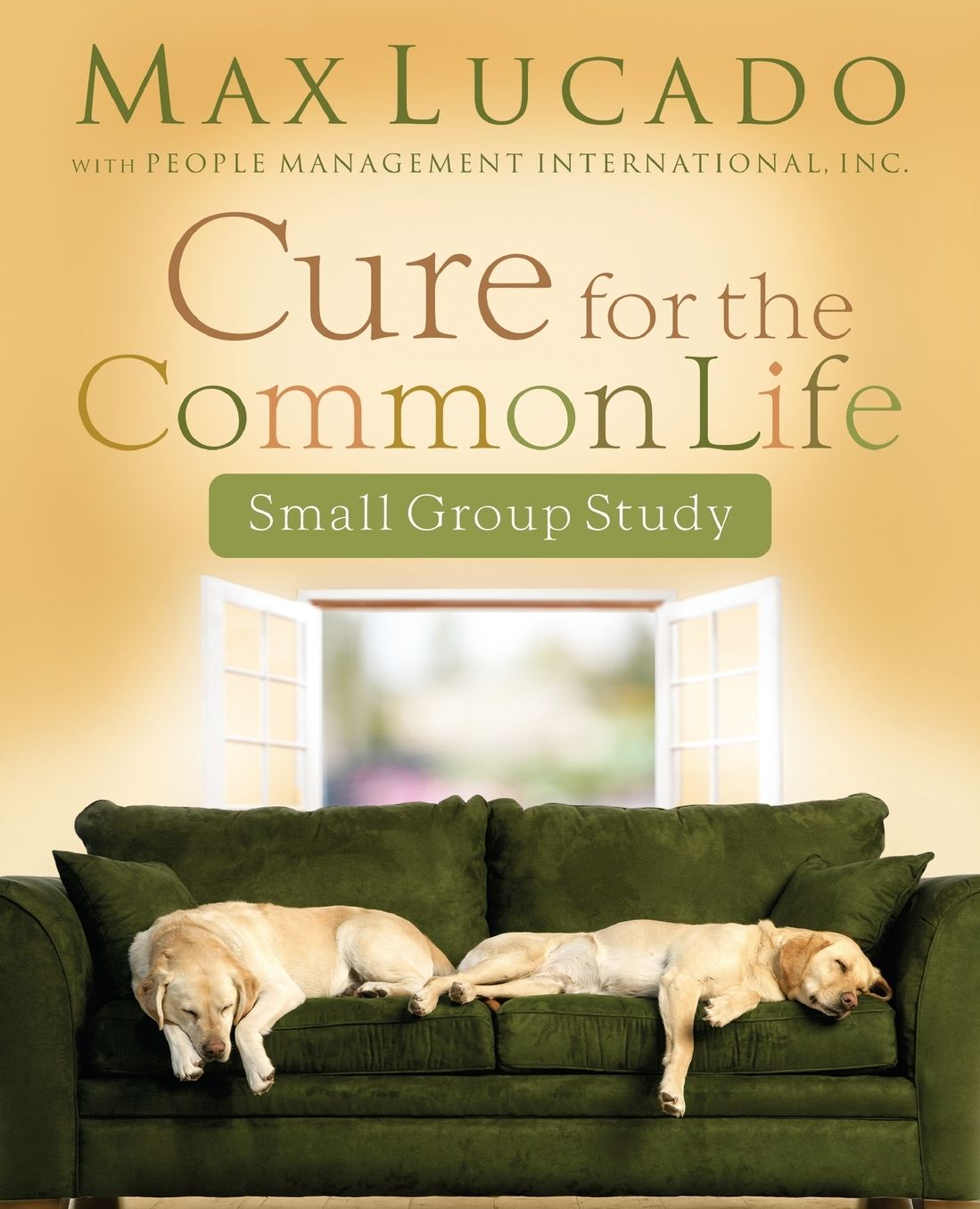 Cure for the Common Life Small Group Study