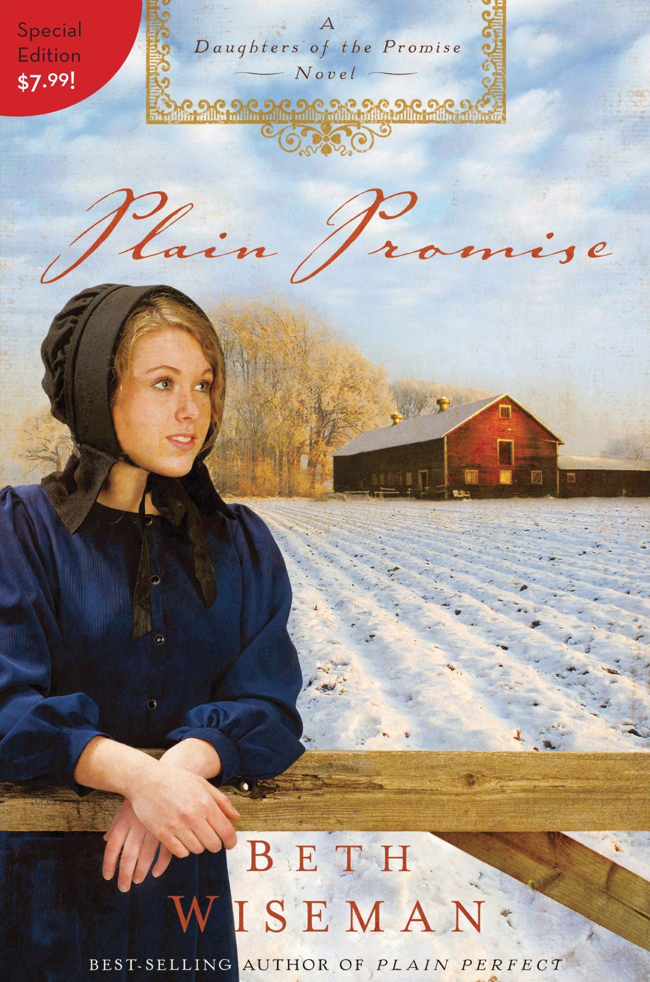 Plain Promise (Daughters of the Promise Series #3)