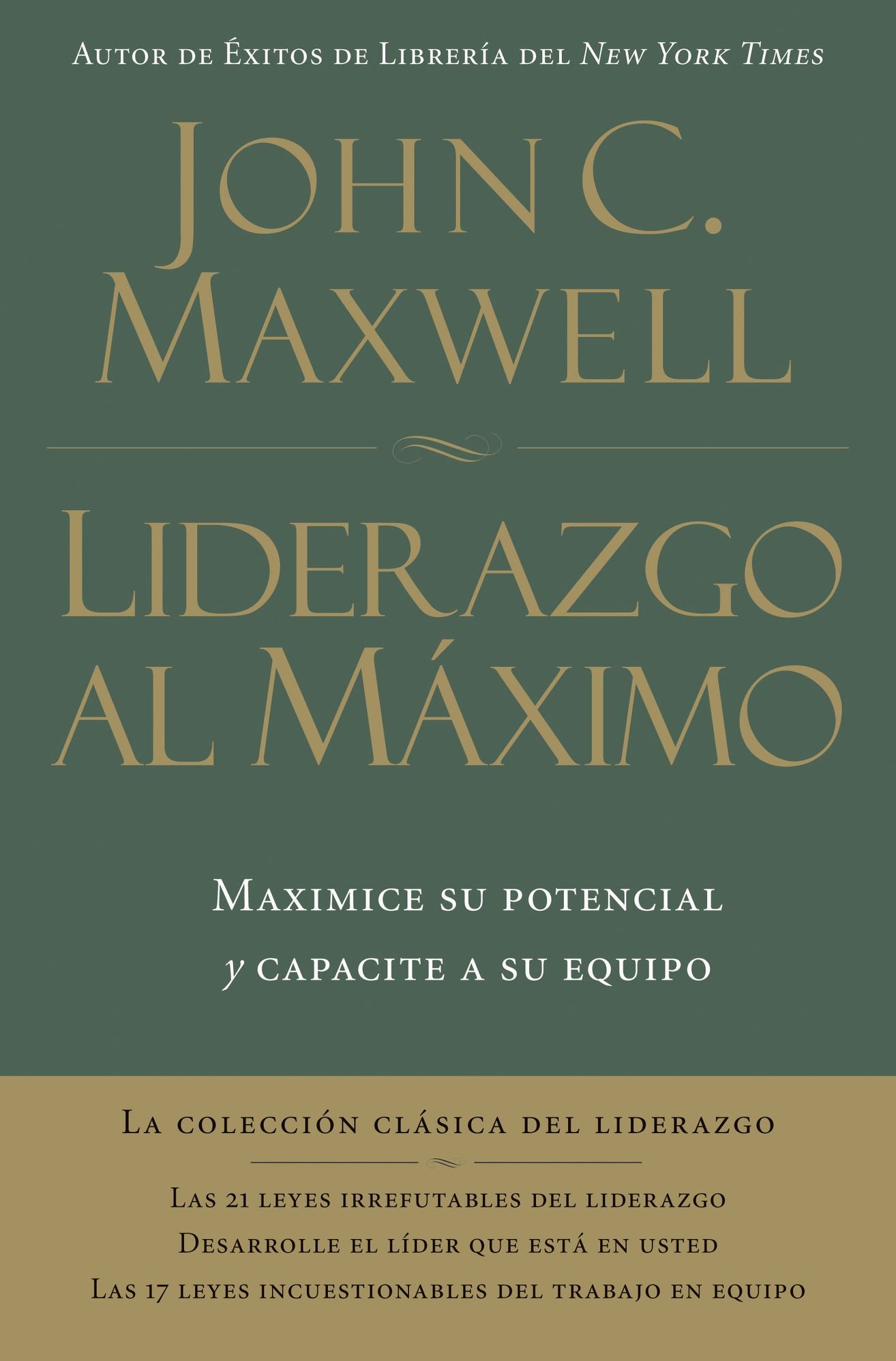 Liderazgo al máximo: Maximice su potencial y capacite a su equipo