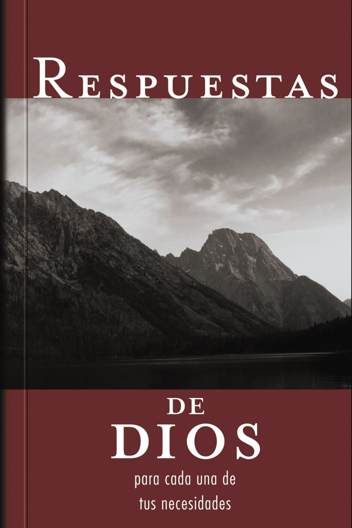 Respuestas de Dios para cada una de tus necesidades