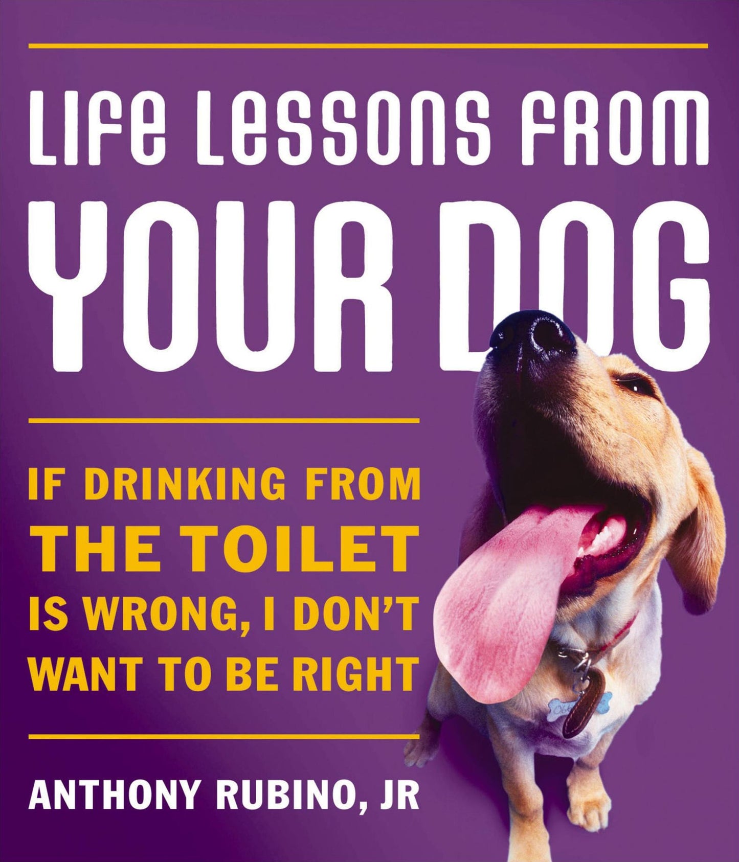 Life Lessons From Your Dog: If drinking from the toilet is wrong, I don't want to be right.