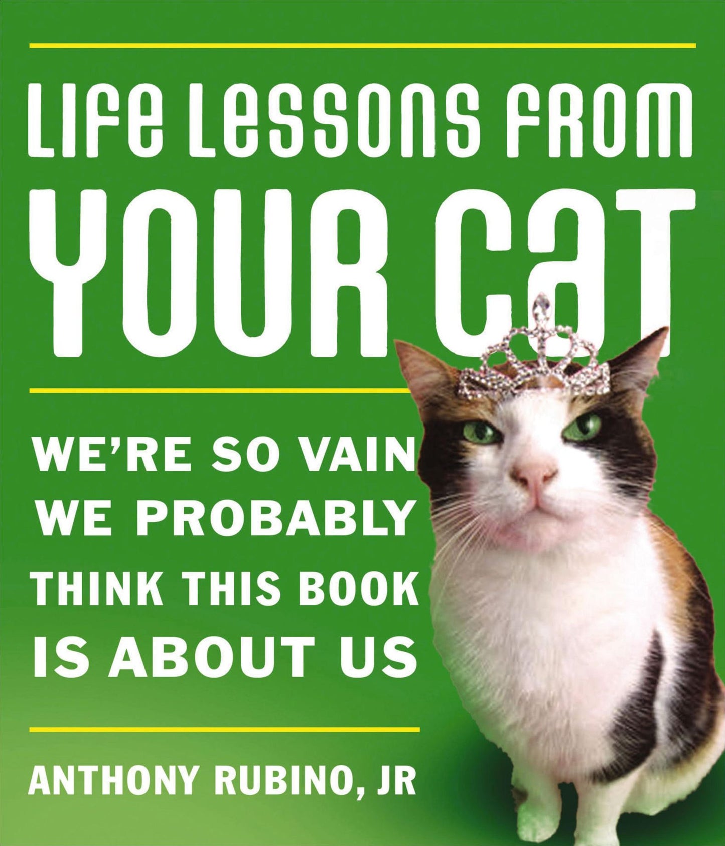 Life Lessons From Your Cat: We're so vain, we probably think this book is about us.