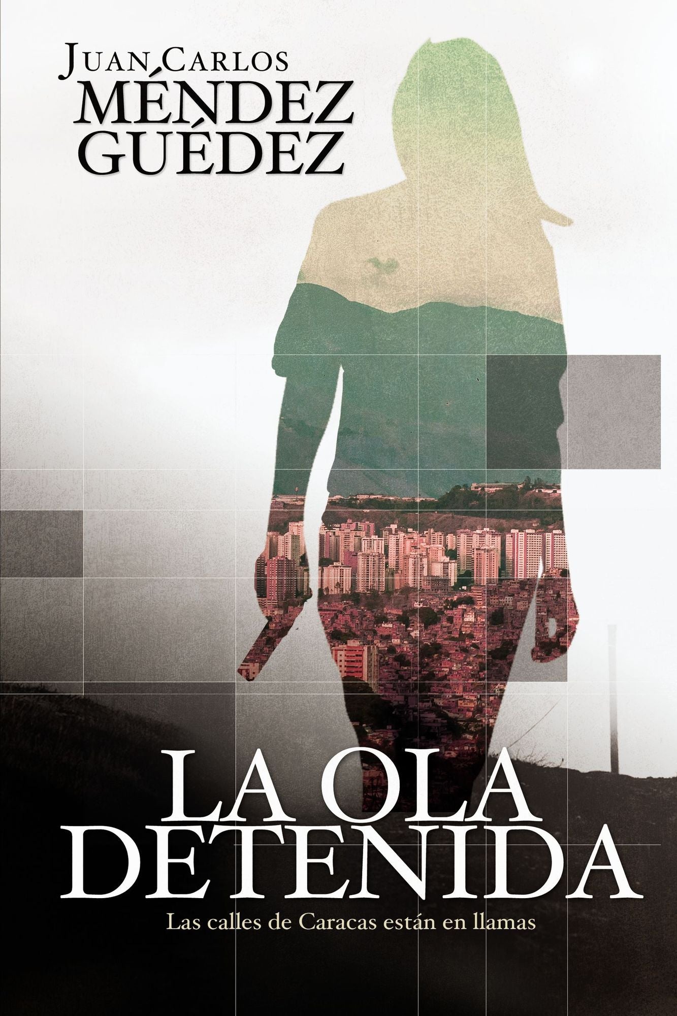 La ola detenida