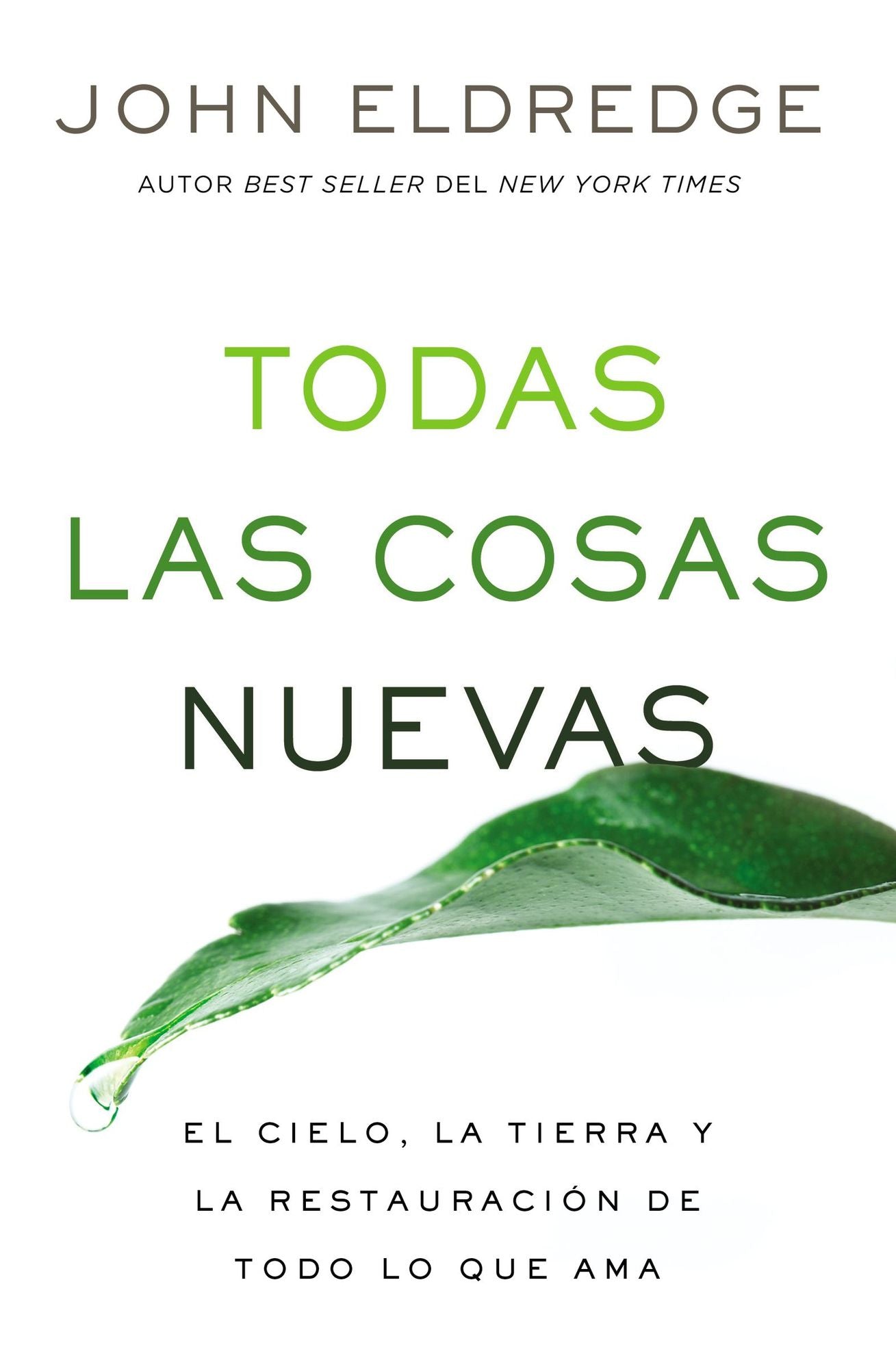Todas Las Cosas Nuevas: El Cielo, La Tierra Y La Restauraciï¿½n de Todo Lo Que AMA