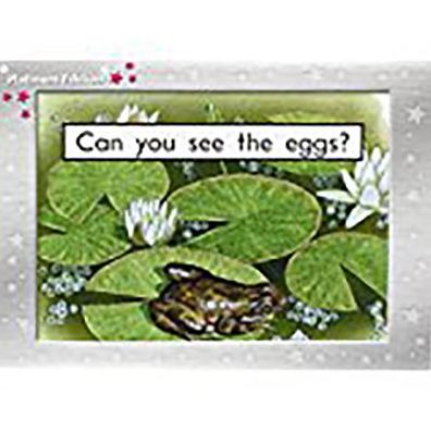 Pml Ma 2 Can You See the Eggs