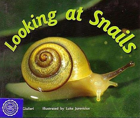 Rigby Flying Colors: Individual Student Edition Red Looking at Snails