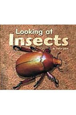 Rigby Flying Colors: Individual Student Edition Red Looking at Insects