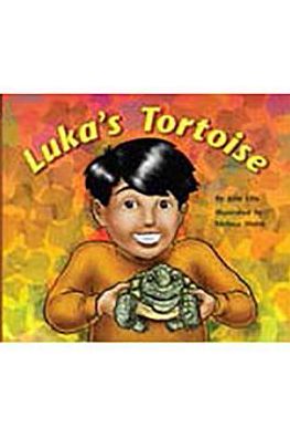 Rigby Flying Colors: Individual Student Edition Yellow Luka's Tortoise