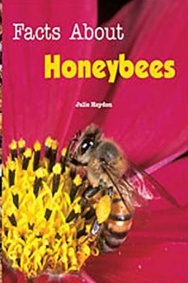 Rigby Flying Colors: Individual Student Edition Turquoise Facts About Honeybees
