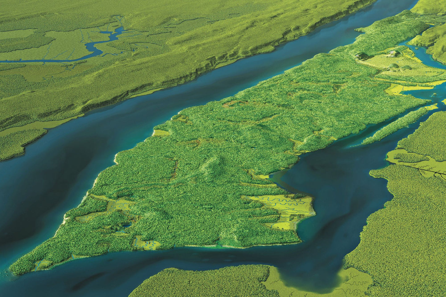 Mannahatta: A Natural History of New York City