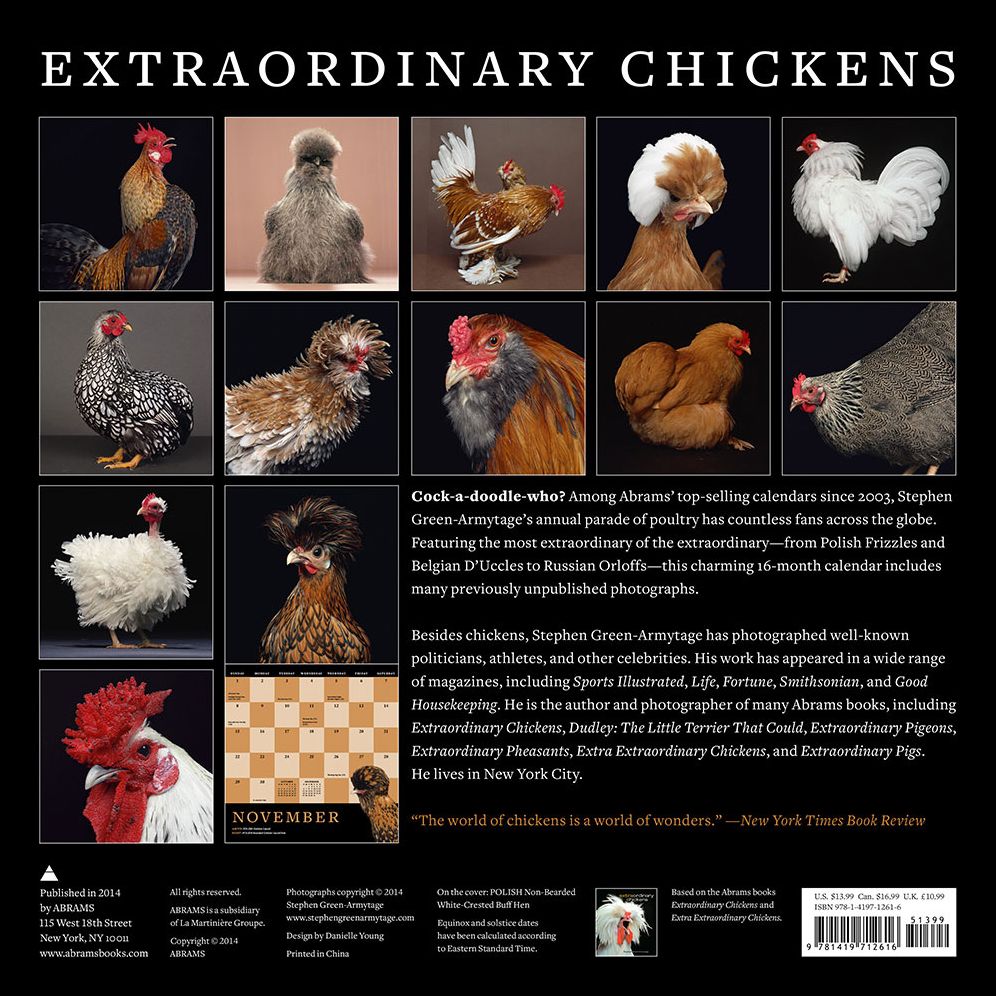 Extraordinary Chickens 2015 Wall Calendar