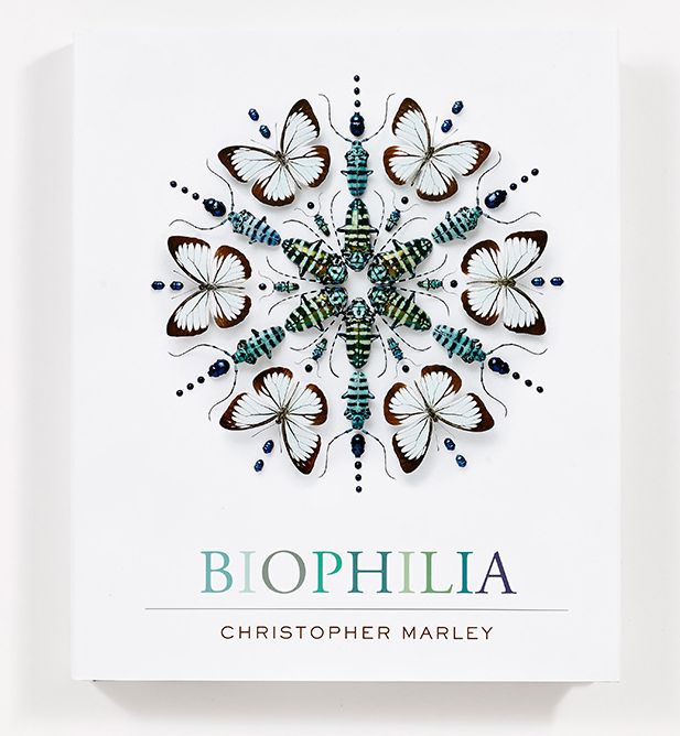 Biophilia