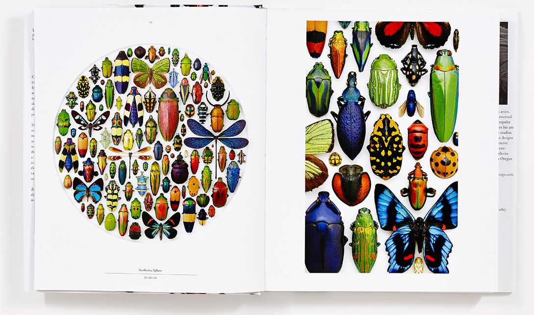 Biophilia