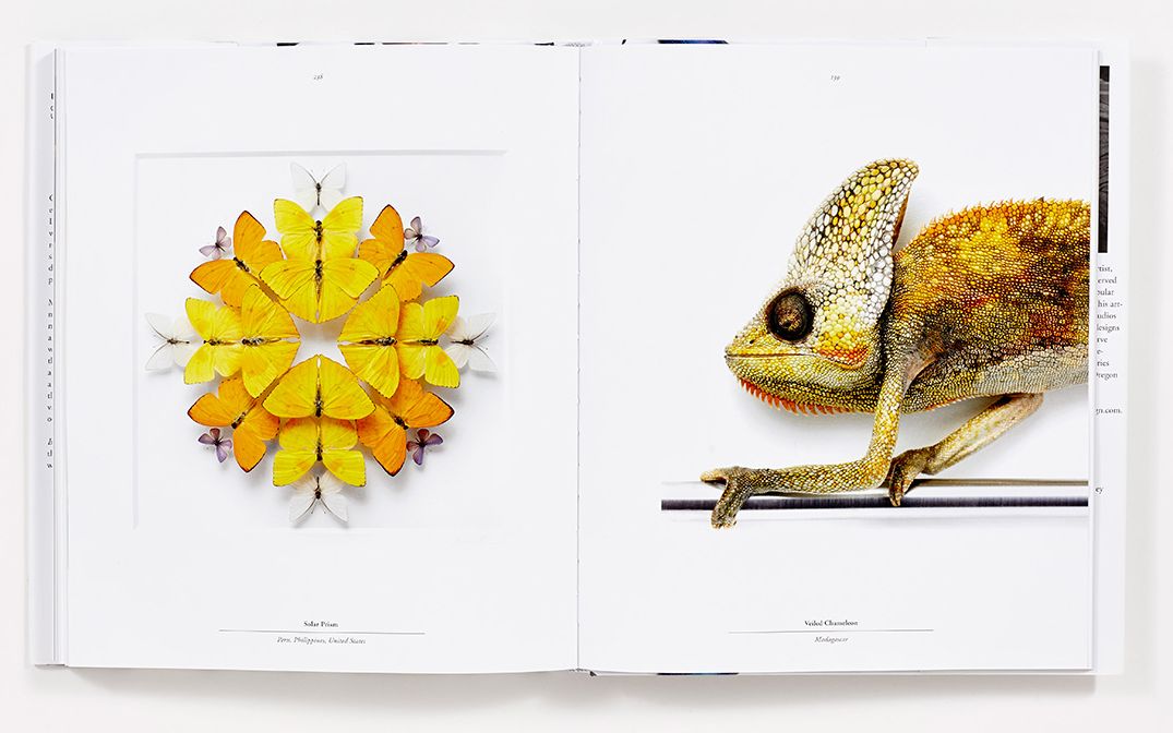 Biophilia