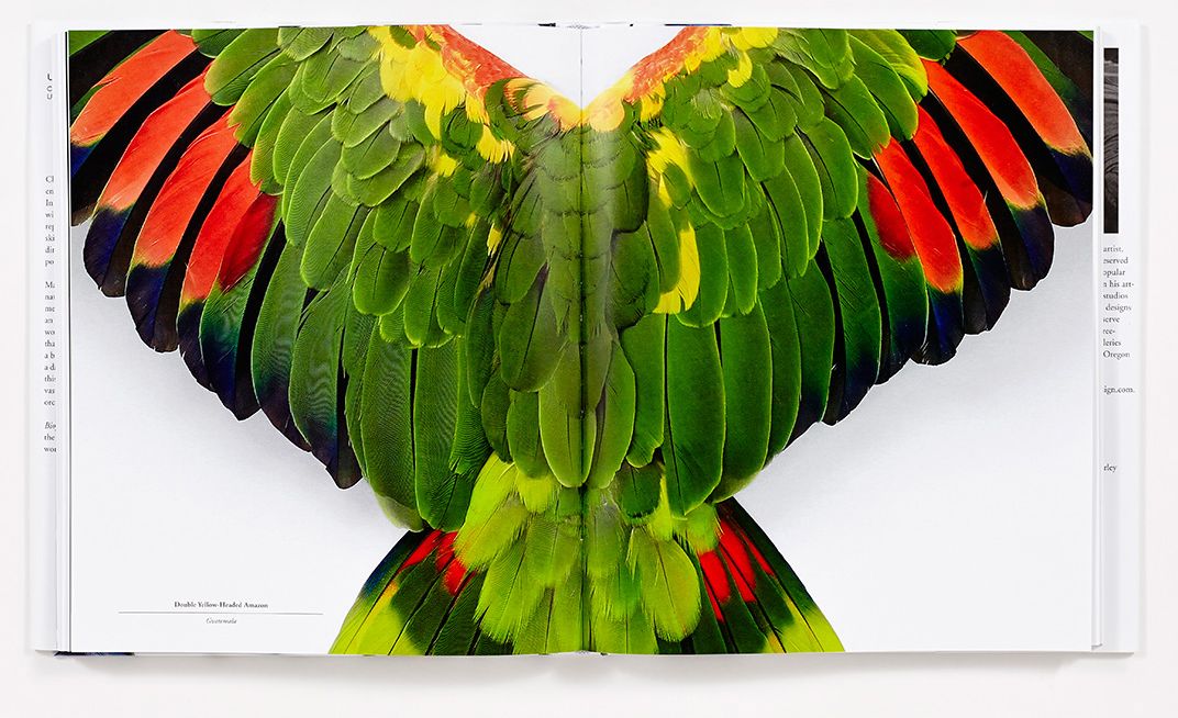Biophilia