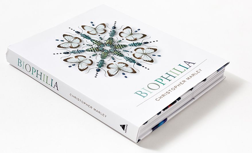 Biophilia