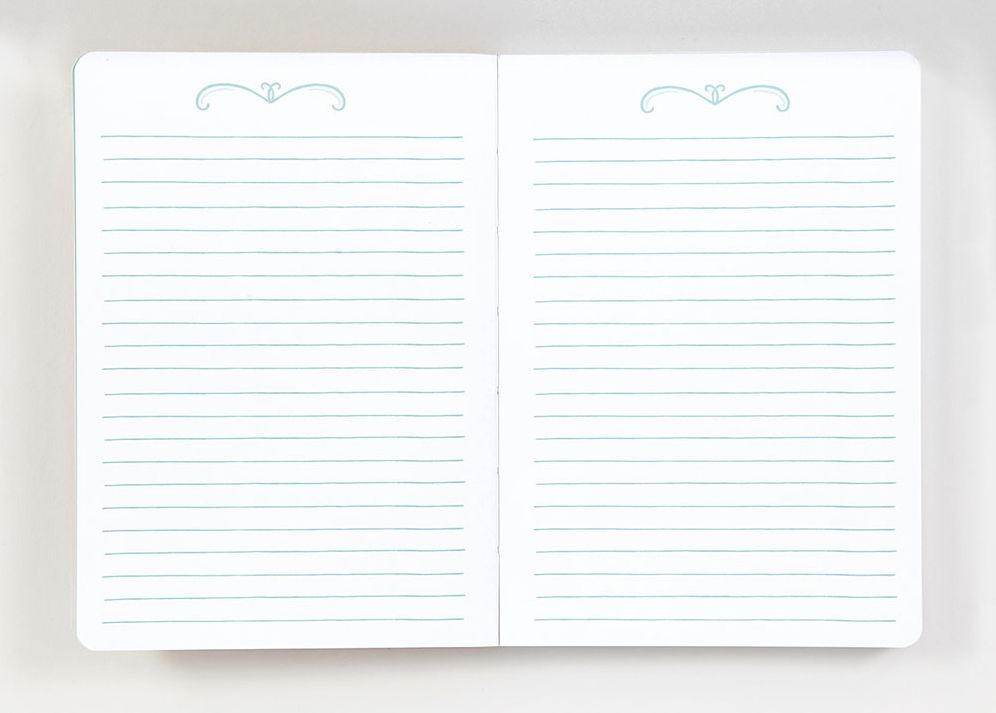 Daily Dishonesty: I'm Over It Journal 5" x 7"