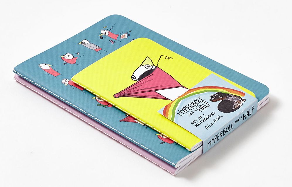 Hyperbole and a Half Notebooks